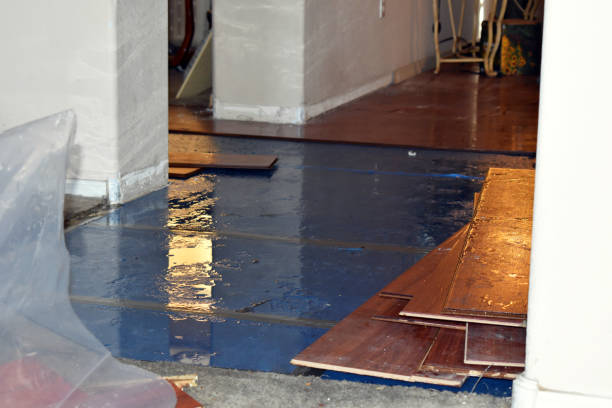 Professional Water Damage Restoration technician working in Little Falls, NY
